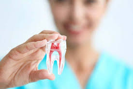 Understanding the Root Canal Treatment Process